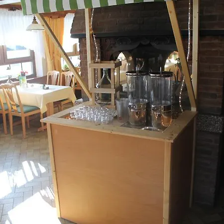 多恩罗森索瓦尔德霍特尔酒店 酒店 *