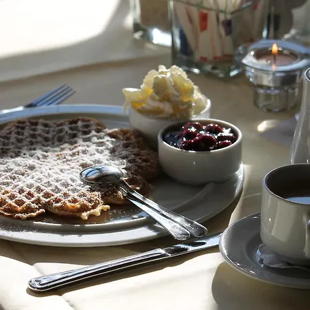 多恩罗森索瓦尔德霍特尔酒店 酒店 *