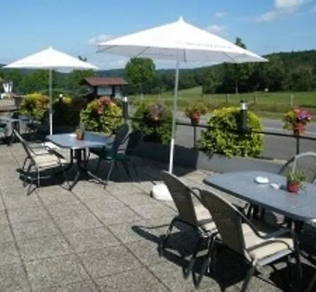 多恩罗森索瓦尔德霍特尔酒店 酒店