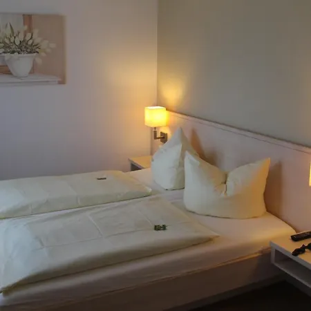 酒店 多恩罗森索瓦尔德霍特尔酒店 *